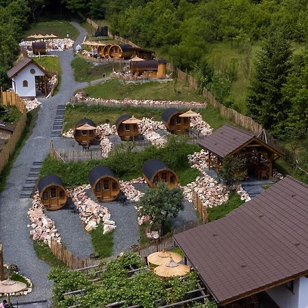 Complex Butoaiele Transilvaniei - Cazare & Spa - Natura - Relaxare Mediaş エクステリア 写真
