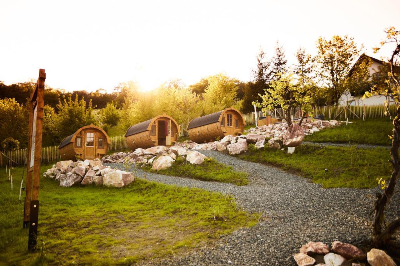 Complex Butoaiele Transilvaniei - Cazare & Spa - Natura - Relaxare Mediaş エクステリア 写真