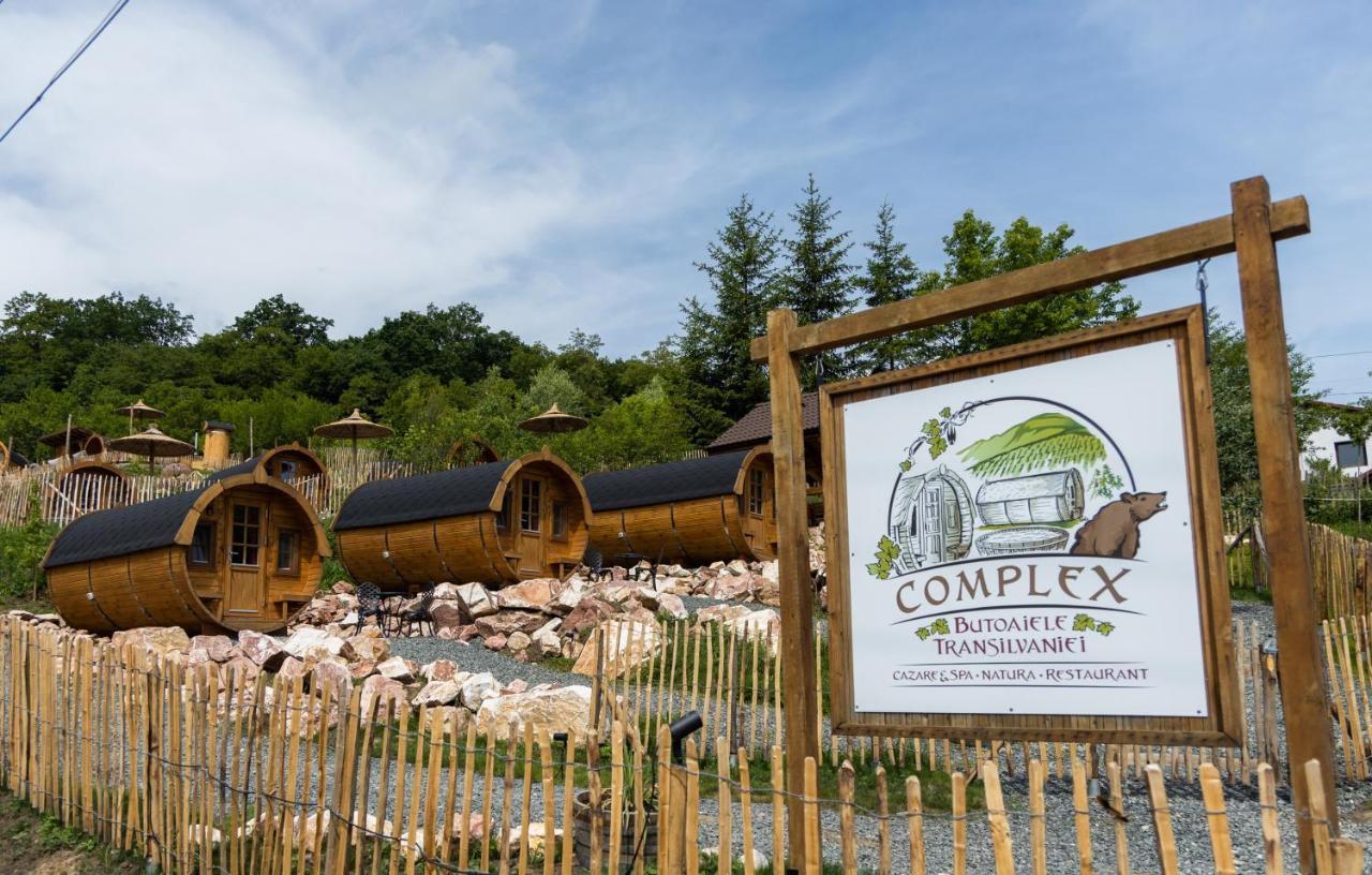 Complex Butoaiele Transilvaniei - Cazare & Spa - Natura - Relaxare Mediaş エクステリア 写真