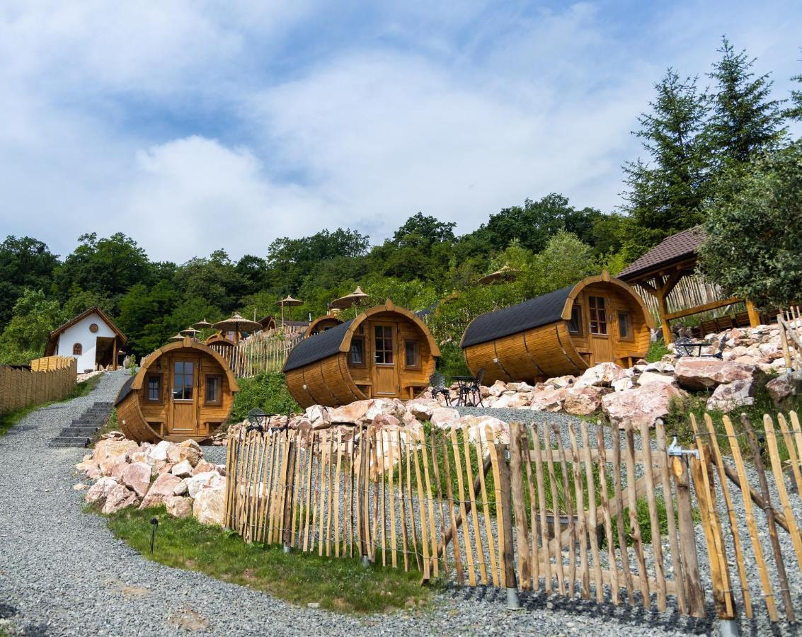 Complex Butoaiele Transilvaniei - Cazare & Spa - Natura - Relaxare Mediaş エクステリア 写真