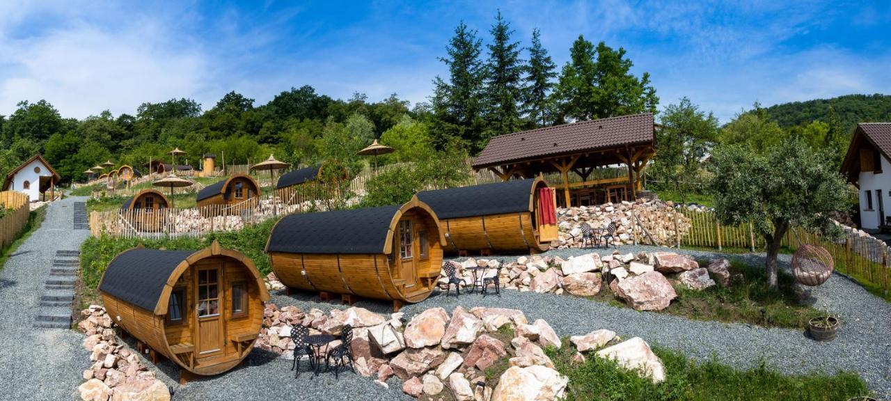 Complex Butoaiele Transilvaniei - Cazare & Spa - Natura - Relaxare Mediaş エクステリア 写真