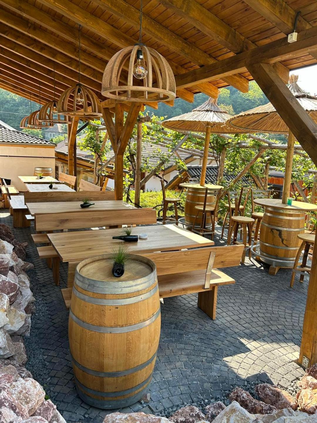 Complex Butoaiele Transilvaniei - Cazare & Spa - Natura - Relaxare Mediaş エクステリア 写真