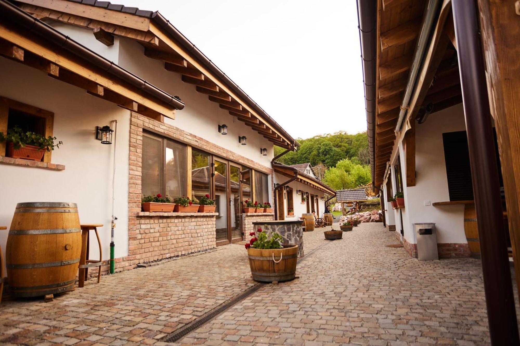 Complex Butoaiele Transilvaniei - Cazare & Spa - Natura - Relaxare Mediaş エクステリア 写真