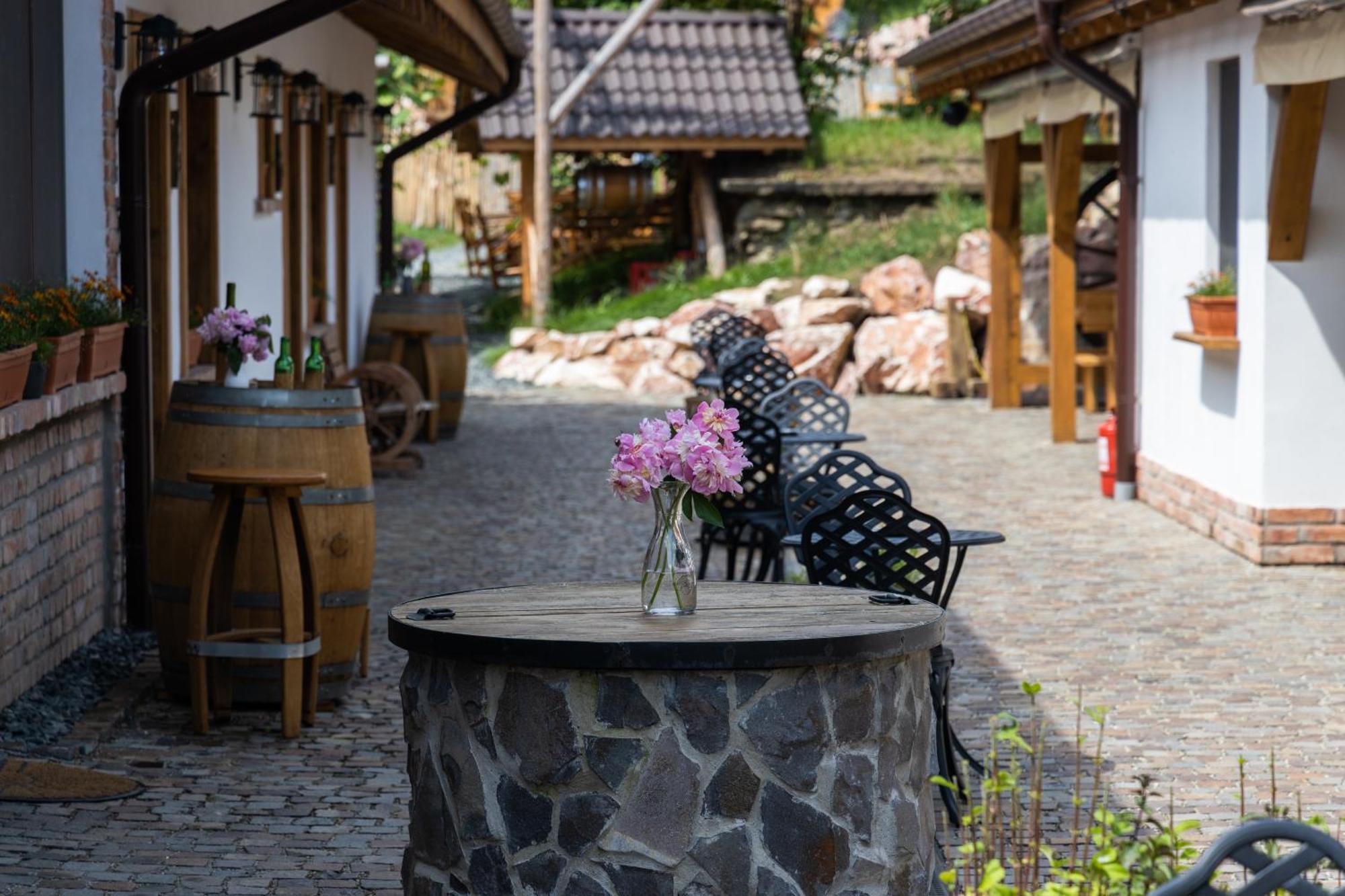 Complex Butoaiele Transilvaniei - Cazare & Spa - Natura - Relaxare Mediaş エクステリア 写真